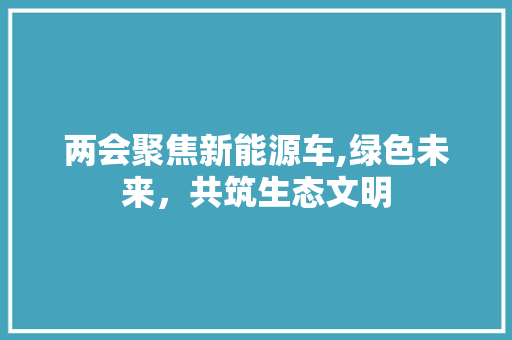 两会聚焦新能源车,绿色未来，共筑生态文明