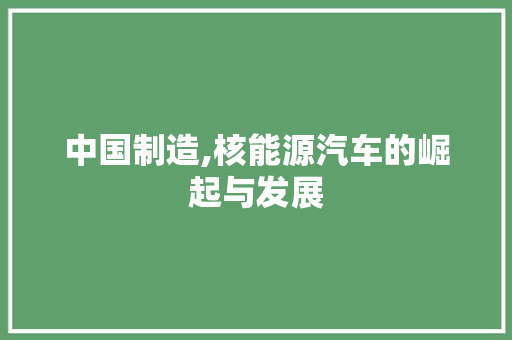 中国制造,核能源汽车的崛起与发展