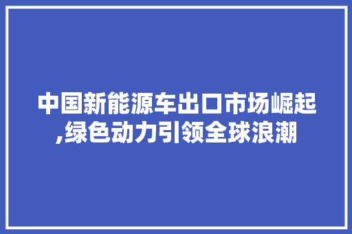 中国新能源车出口市场崛起,绿色动力引领全球浪潮