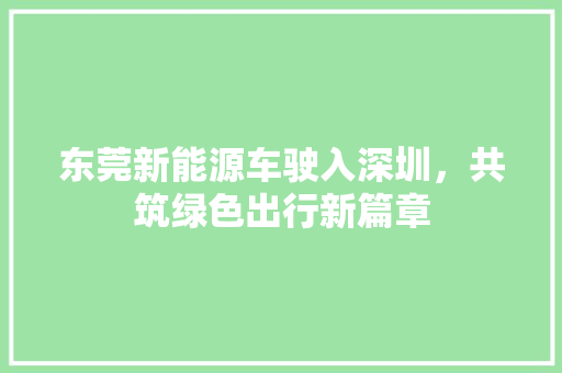 东莞新能源车驶入深圳，共筑绿色出行新篇章