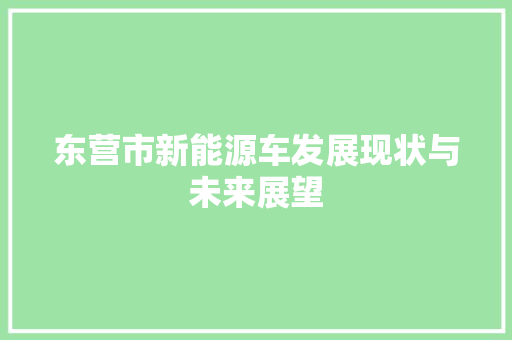 东营市新能源车发展现状与未来展望