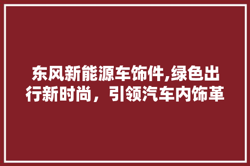 东风新能源车饰件,绿色出行新时尚，引领汽车内饰革命