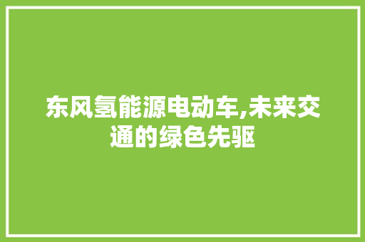 东风氢能源电动车,未来交通的绿色先驱