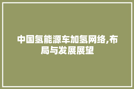 中国氢能源车加氢网络,布局与发展展望