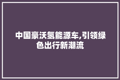 中国豪沃氢能源车,引领绿色出行新潮流