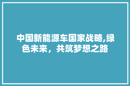 中国新能源车国家战略,绿色未来，共筑梦想之路 汽车知识