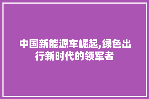 中国新能源车崛起,绿色出行新时代的领军者