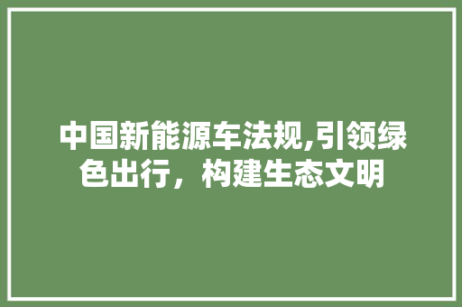 中国新能源车法规,引领绿色出行，构建生态文明
