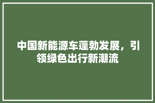 中国新能源车蓬勃发展，引领绿色出行新潮流