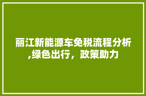 丽江新能源车免税流程分析,绿色出行，政策助力