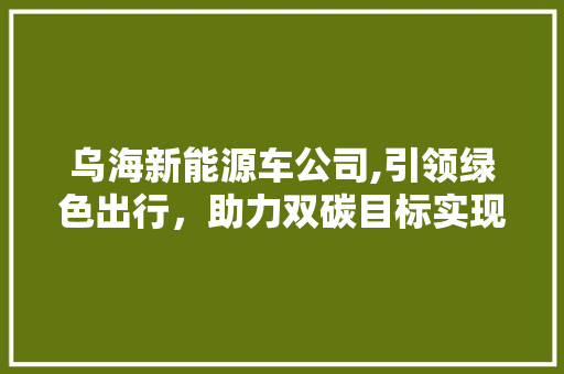 乌海新能源车公司,引领绿色出行，助力双碳目标实现 汽车知识
