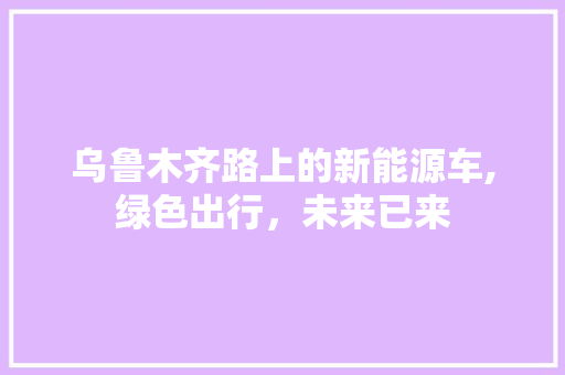 乌鲁木齐路上的新能源车,绿色出行，未来已来