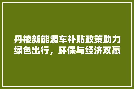 丹棱新能源车补贴政策助力绿色出行，环保与经济双赢