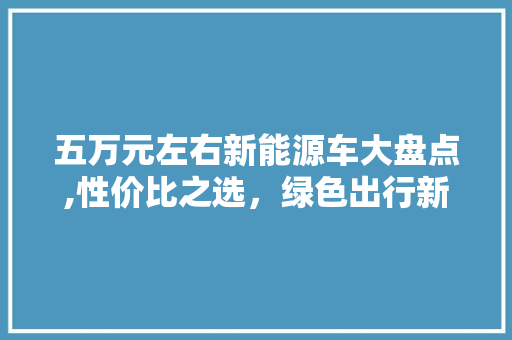 五万元左右新能源车大盘点,性价比之选，绿色出行新风尚