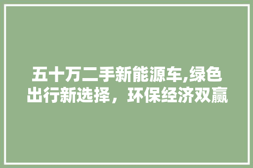 五十万二手新能源车,绿色出行新选择，环保经济双赢之路