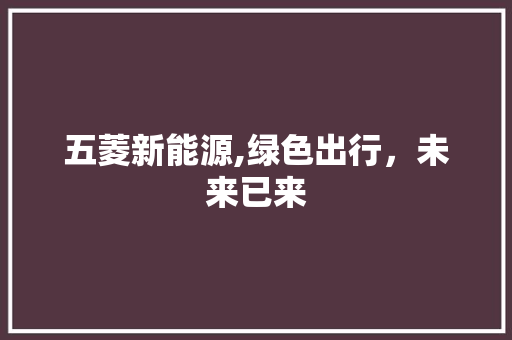五菱新能源,绿色出行，未来已来
