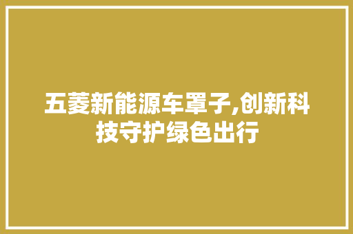 五菱新能源车罩子,创新科技守护绿色出行