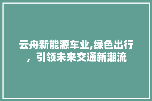 云舟新能源车业,绿色出行，引领未来交通新潮流