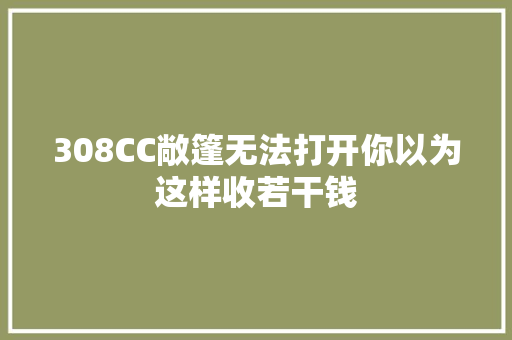 308CC敞篷无法打开你以为这样收若干钱 汽车知识