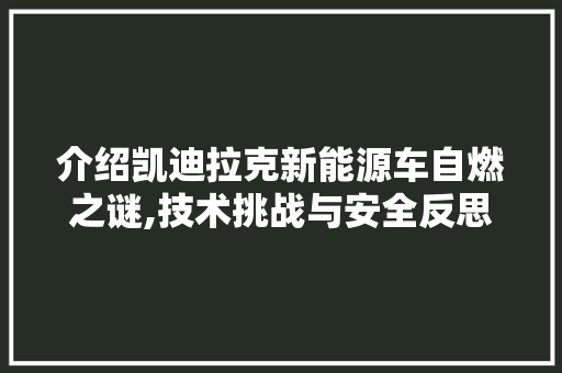 介绍凯迪拉克新能源车自燃之谜,技术挑战与安全反思