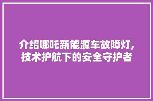 介绍哪吒新能源车故障灯,技术护航下的安全守护者
