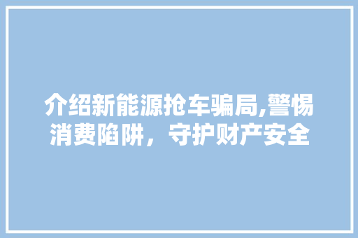介绍新能源抢车骗局,警惕消费陷阱，守护财产安全