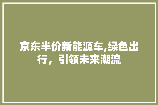 京东半价新能源车,绿色出行，引领未来潮流