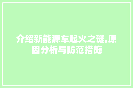 介绍新能源车起火之谜,原因分析与防范措施