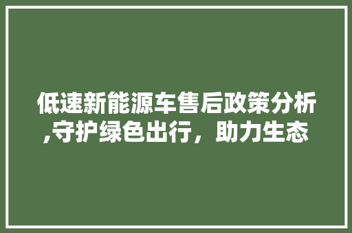 低速新能源车售后政策分析,守护绿色出行，助力生态文明