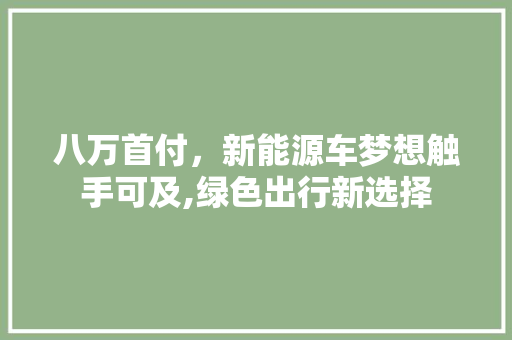 八万首付，新能源车梦想触手可及,绿色出行新选择