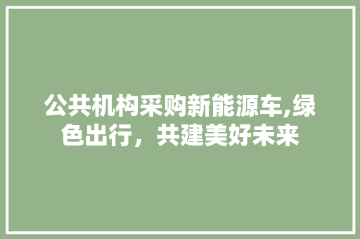 公共机构采购新能源车,绿色出行，共建美好未来