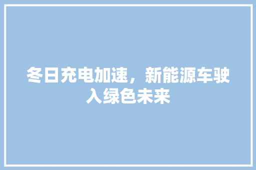 冬日充电加速，新能源车驶入绿色未来 汽车知识