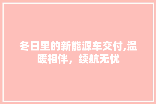 冬日里的新能源车交付,温暖相伴，续航无忧