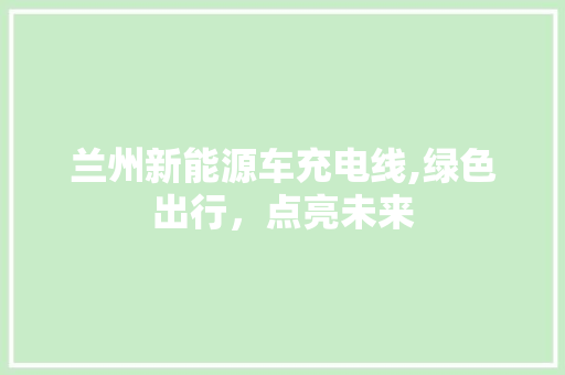 兰州新能源车充电线,绿色出行，点亮未来 汽车知识