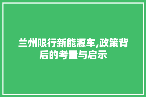 兰州限行新能源车,政策背后的考量与启示