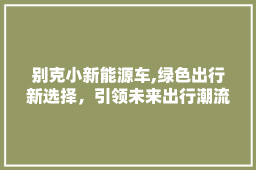 别克小新能源车,绿色出行新选择，引领未来出行潮流