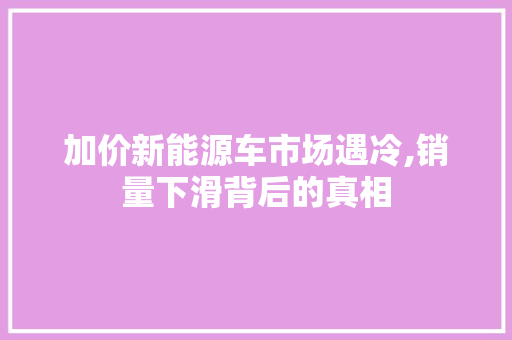 加价新能源车市场遇冷,销量下滑背后的真相