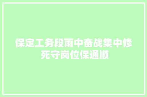 保定工务段雨中奋战集中修 死守岗位保通顺