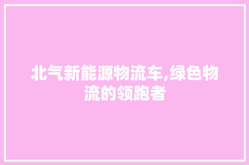 北气新能源物流车,绿色物流的领跑者