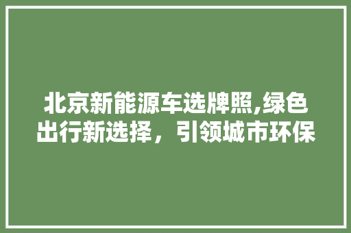 北京新能源车选牌照,绿色出行新选择，引领城市环保潮流