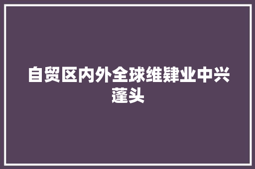 自贸区内外全球维肄业中兴蓬头 汽车知识