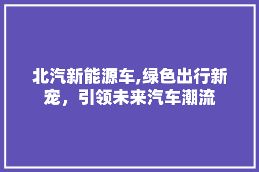 北汽新能源车,绿色出行新宠，引领未来汽车潮流 汽车知识
