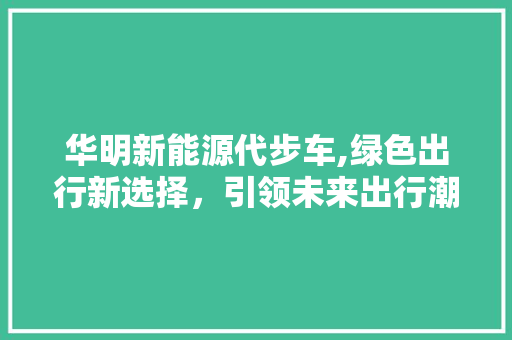 华明新能源代步车,绿色出行新选择，引领未来出行潮流