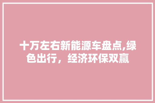 十万左右新能源车盘点,绿色出行，经济环保双赢
