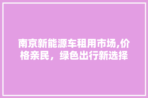 南京新能源车租用市场,价格亲民，绿色出行新选择