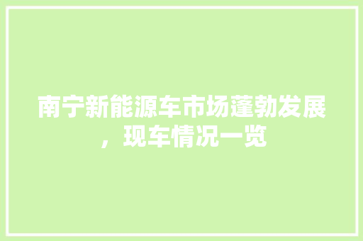 南宁新能源车市场蓬勃发展，现车情况一览