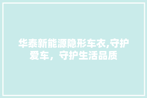 华泰新能源隐形车衣,守护爱车，守护生活品质