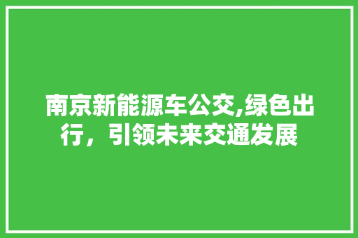 南京新能源车公交,绿色出行，引领未来交通发展