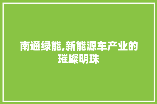 南通绿能,新能源车产业的璀璨明珠