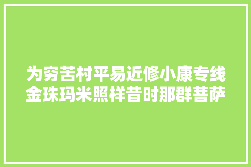为穷苦村平易近修小康专线金珠玛米照样昔时那群菩萨兵
